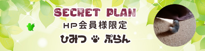 ホームページからのシークレットプラン