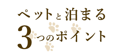 ペットと泊まれる3つのポイント